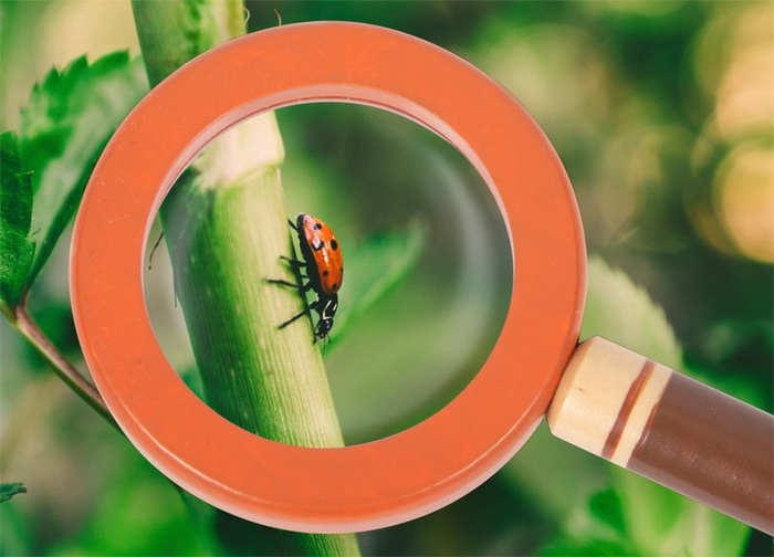 Pas przygodowy z akcesoriami do zabaw odkrywcy Small Foot