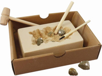 Poszukiwacze złota 443 Buki