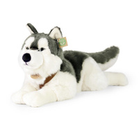 Maskotka dla dzieci pies Husky 60 cm Rappa 