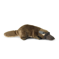 Maskotka dla dzieci dziobak 30 cm Rappa