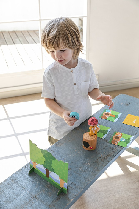 Gra Memo Friends Goula