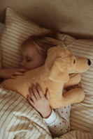 Pluszowy piesek maskotka obciążeniowa 2,2 kg Astrup