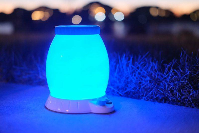 Nocna Lampka Obserwatorium Owadów Buggy Light