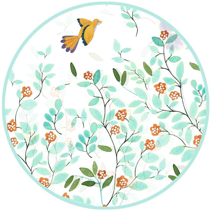 Transparentna pelerynka przeciwdeszczowa dla dzieci ptaszki Djeco