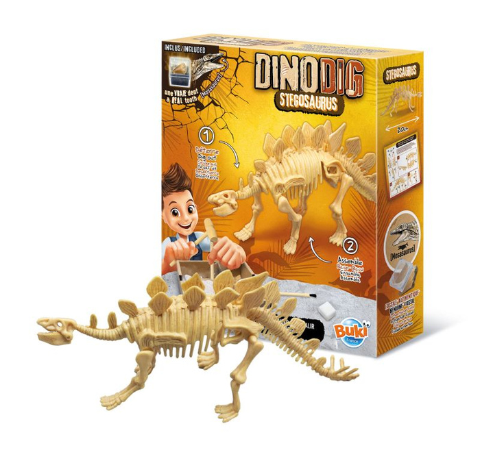 Zestaw małego paleontologa Stegozaur Buki