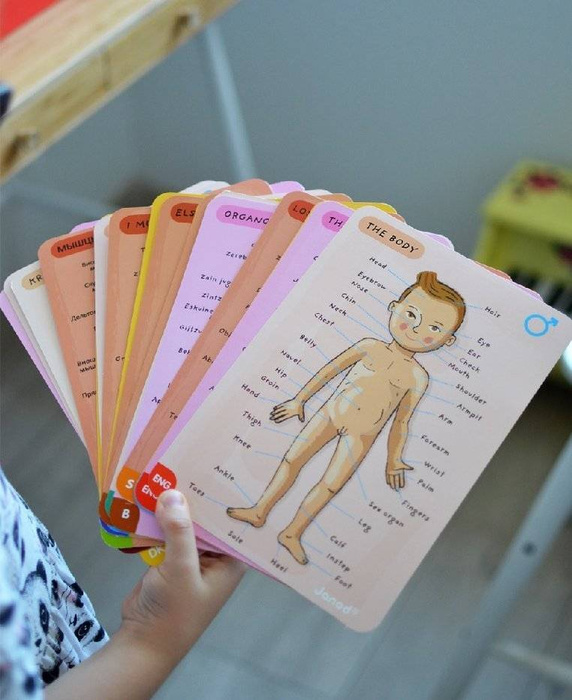 Magnetyczna układanka, magnesy dla dzieci. Anatomia, Janod