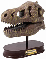 Muzeum czaszek dinozaura - TYRANOZAUR 2130 Buki