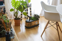 Jeździk dla dzieci Lew La Cosa Italtrike