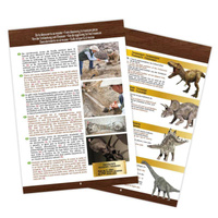 Muzeum czaszek dinozaura - TYRANOZAUR 2130 Buki