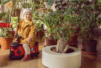 Jeździk dla dzieci Biedronka La Cosa Italtrike