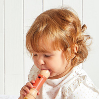 Instrumenty do zabawy z drewna Gioia Janod