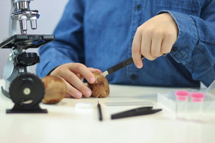 Nauka i zabawa mikroskop 30 doświadczeń dla dzieci Buki