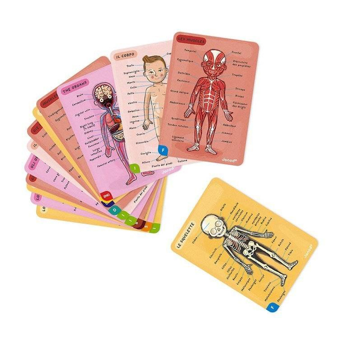 Magnetyczna układanka, magnesy dla dzieci. Anatomia, Janod