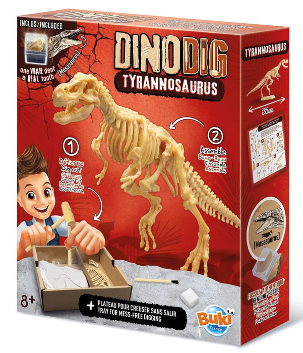 Zestaw Małego paleontologa Tyranozaur Buki