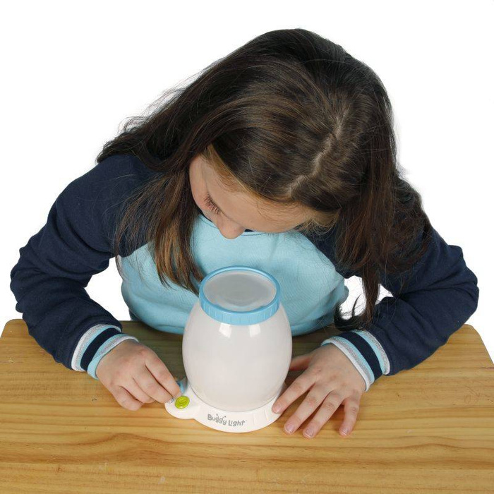 Nocna Lampka Obserwatorium Owadów Buggy Light