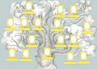 Drzewo genealogiczne Zuzu Toys