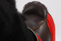 Koń na biegunach XL. Koń kary