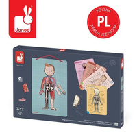 Magnetyczna układanka, magnesy dla dzieci. Anatomia, Janod