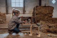 Domek dla królików z akcesoriami Astrup