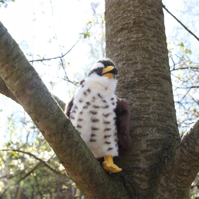 Maskotka dla dzieci jastrząb 23 cm Rappa
