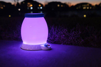 Nocna Lampka Obserwatorium Owadów Buggy Light