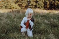 Brązowy Konik Minis Pixie 30 cm Astrup