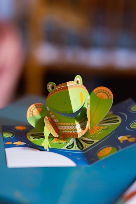 Zestaw kreatywny Przestrzenne kartki pop-up 3D Zwierzęta 6+ Janod