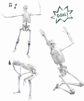 Model szkieletu człowieka do samodzielnego montażu Buki