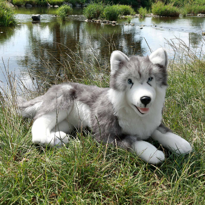 Pluszak ekologiczny Pies Husky 60 cm dla dzieci Rappa