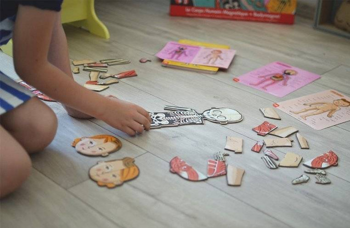 Magnetyczna układanka, magnesy dla dzieci. Anatomia, Janod