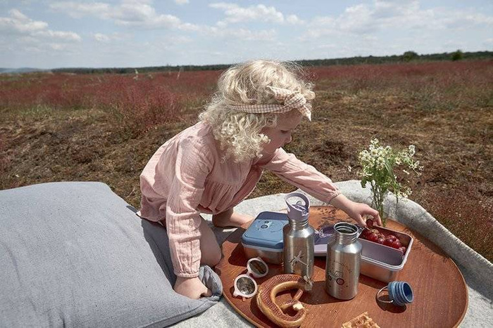 Lunchbox ze stali nierdzewnej Adventure Ważka Lassig