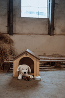 Domek dla piesków z akcesoriami Astrup