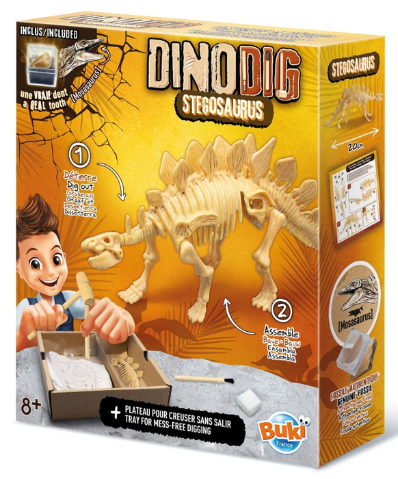 Zestaw małego paleontologa Stegozaur Buki