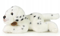 Maskotka dla dzieci piesek Dalmatyńczyk 30 cm Rappa