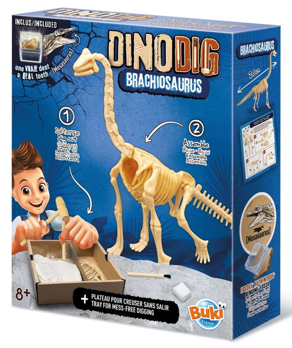 Zestaw Małego paleontologa Brachiozaur Buki 