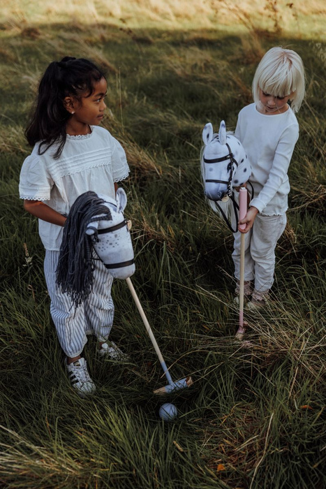 Gra zręcznościowa Polo Hobby Horse akcesoria Astrup