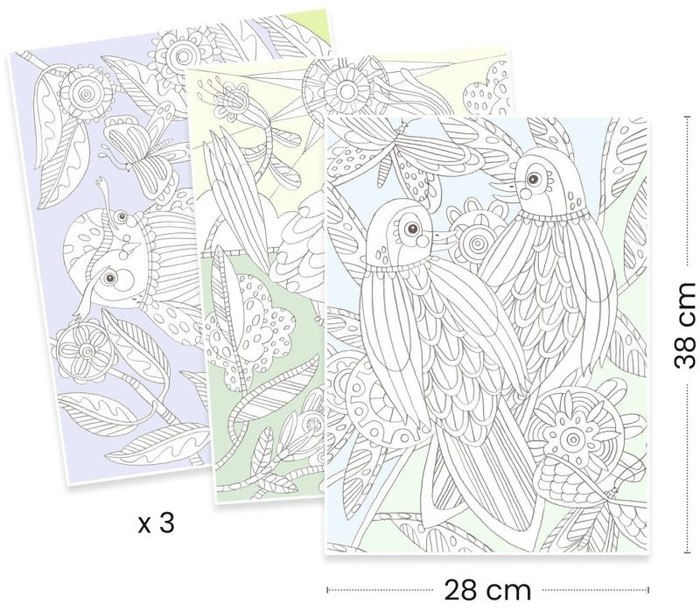 Obrazy do kolorowania w teczce Ptaki Djeco