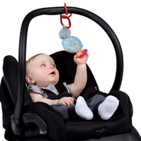 Pluszowa zawieszka do wózka z gryzakiem Kaktusowy ogród Manhattan Toy