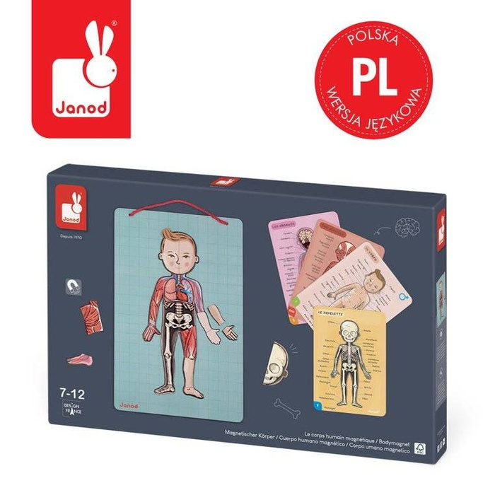 Magnetyczna układanka, magnesy dla dzieci. Anatomia, Janod