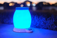 Nocna Lampka Obserwatorium Owadów Buggy Light