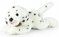 Maskotka dla dzieci piesek Dalmatyńczyk 30 cm Rappa