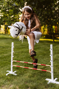 Hobby Horse przeszkoda dla konia na kiju Astrup