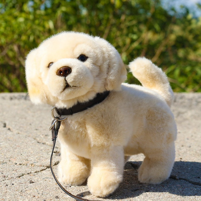 Ekologiczny pluszowy Golden Retriever Rappa 25 cm ze smyczą realistyczna Maskotka Rappa