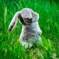 Maskotka pluszowa Zajączek M Trudi