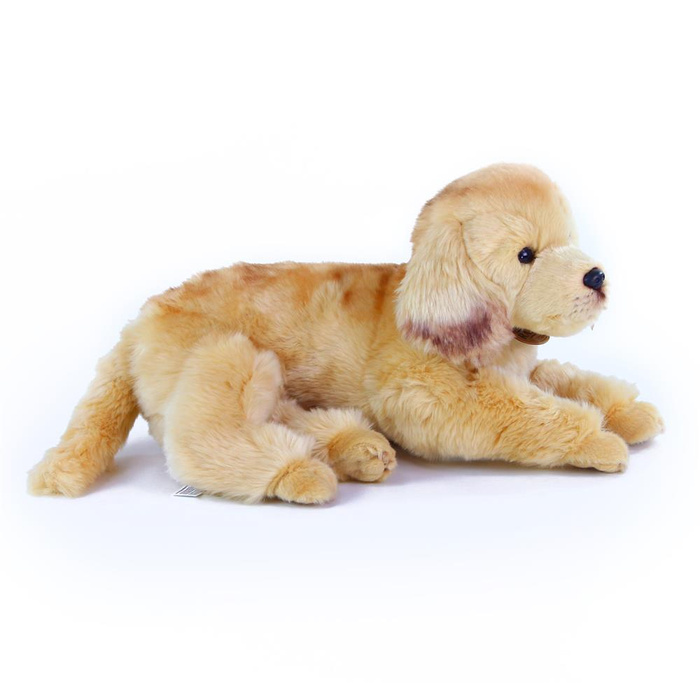 Maskotka dla dzieci pies Golden Retriever 32cm Rappa