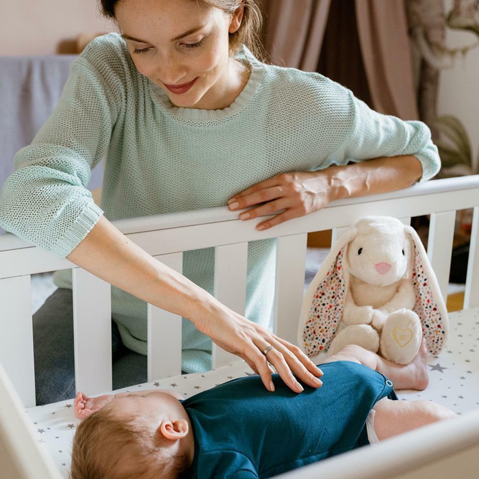 Szumiący Króliś Felcia Whisbear