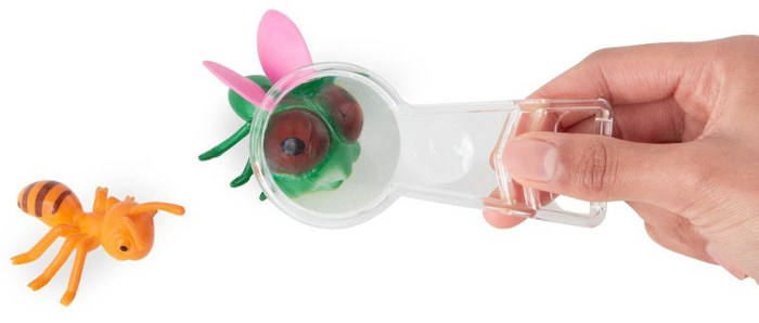 Zestaw do obserwowania owadów z minilupą i siatką Mini Catcher’s Kit B.Toys