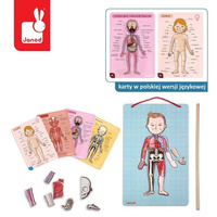 Magnetyczna układanka, magnesy dla dzieci. Anatomia, Janod