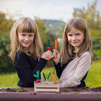 Ogródek warzywny grządka dla dzieci Erzi