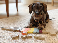 Drewniane puzzle nauka alfabetu jamnik Small Foot